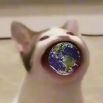 Da Pop Cats