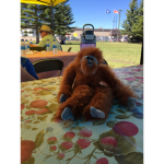 Fuzzsoda Creations