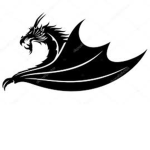 new player fan group