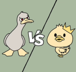 Ducks Hate Geese