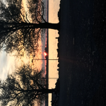 mnioroi