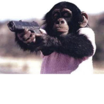 Monkeys will take over the world