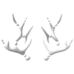 White Void Antlers