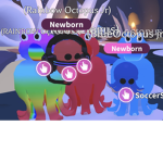 Octopus’s