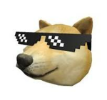 Doge corporation city