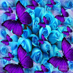 Butterfly's crew
