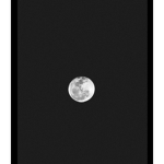 - Moon Club -