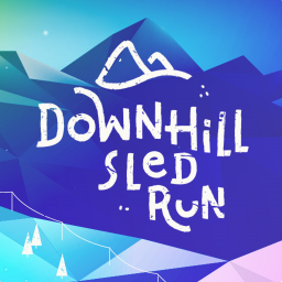 Downhill Sled Run