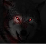 the top of the alphas