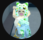 The NotDarciRoblox ARMY