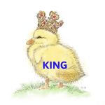 OG Ducky Nation