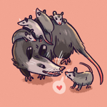 OPOSSUM LOVE