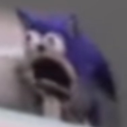 le sonic meme Roblox decal