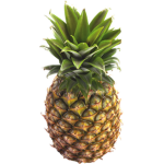 The Pineapple Guard