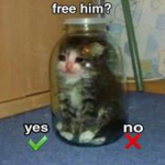 Dh Cash Selling lol.