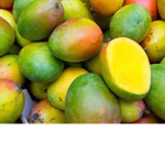 Mango Force