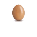 Egg was already taken