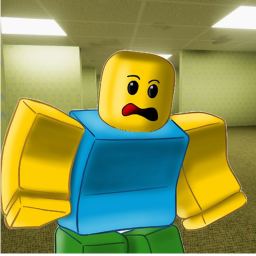 The NPC Experience