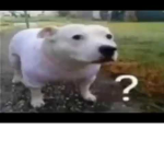 i dond know