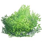 suspicious bush