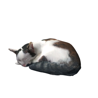 Cica