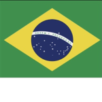 The Real Brazilians