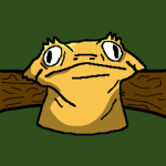 Repti's Robes