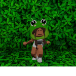 frog funs