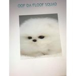 OOF DA FLOOF SQUAD