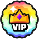 👑VIP!