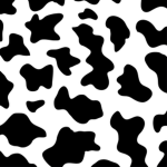 Cow dance squad