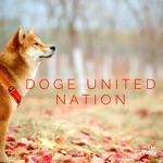 Doge United Nation