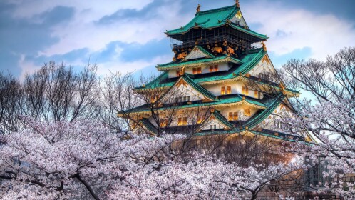 The Hikari Clan; Tōkami-jō