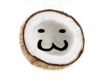 Lovely coconut group!