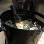 birthday of pumpkinn