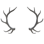 White Triangle Antlers