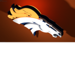 The Broncos Nation And Other