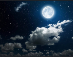 ~{ moonlight sparkles dance ᴄommunity }~