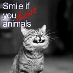animal lovers! (stop animal abuse to)