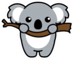 koala gang koala people
