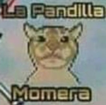 La Pandilla Momera MMG