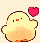 -Local_Charlotte8-