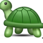 Turtle Association 🐢