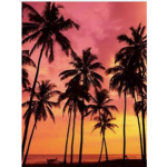 Beachyday
