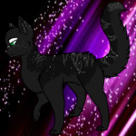 Warrior Cats Fan Group.