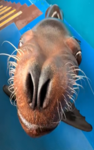 RWQFSFASXC1