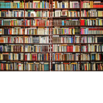 Library for towns folk