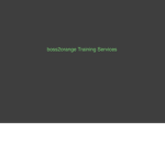 boss2orange Training Services