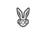 The wild bunny’s