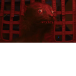 Hairy Baka weasle